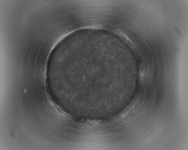 X0000112110484200909011149