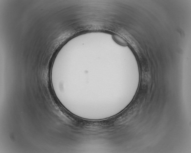 X0000112110485200909011149