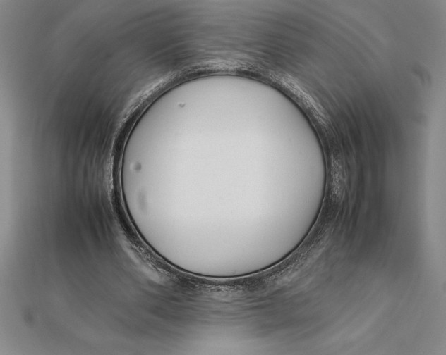 X0000112110486200909011149