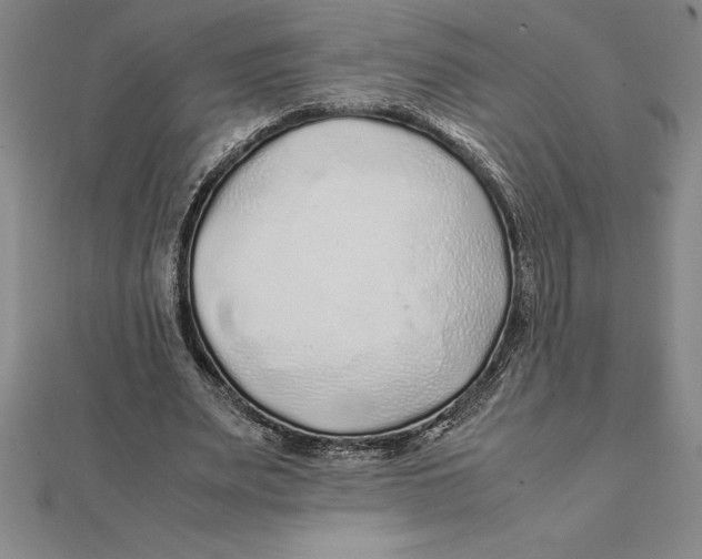 X0000112110487200909011149