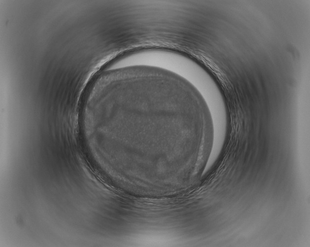 X0000112110488200909011149