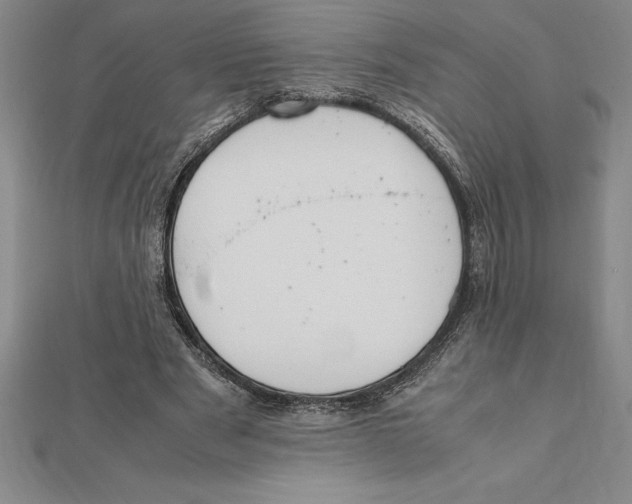 X0000112110489200909011149