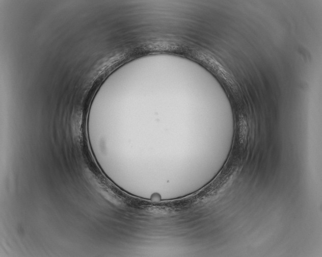 X0000112110490200909011149