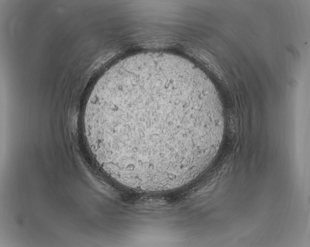 X0000112110491200909011149