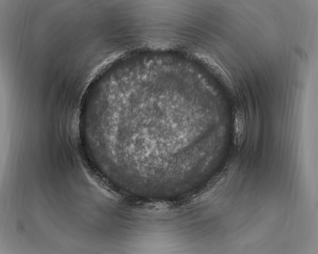 X0000112110492200909011149