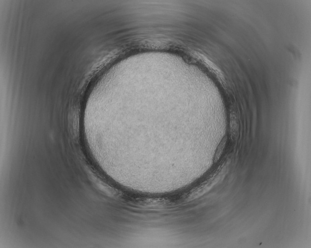 X0000112110493200909011149