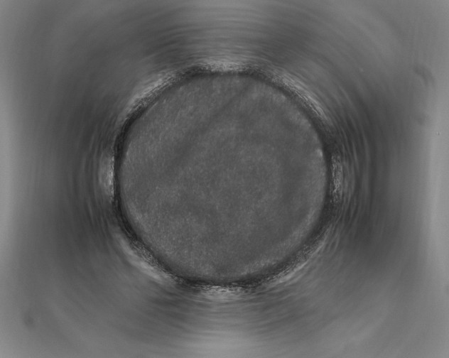 X0000112110494200909011149