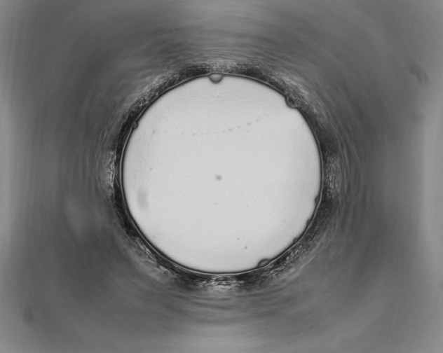 X0000112110495200909011149