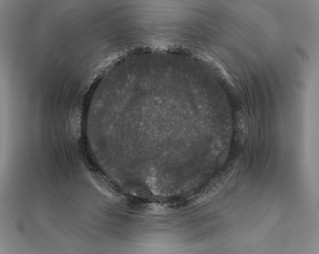 X0000112110496200909011149