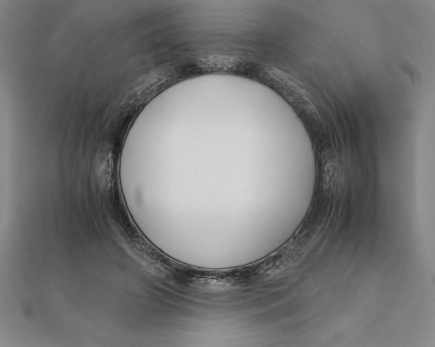 X0000112110498200909011149