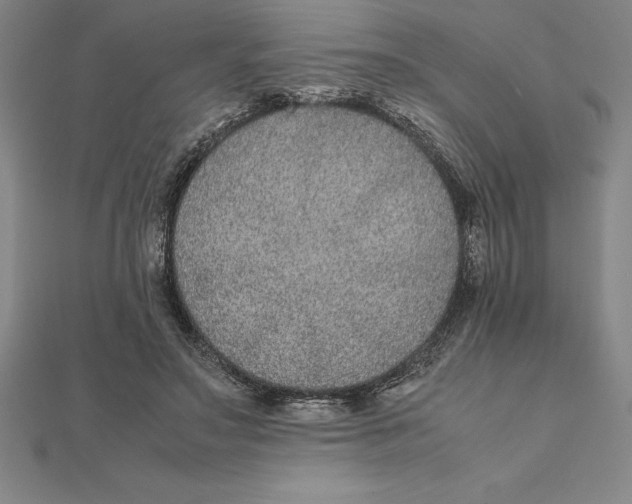 X0000112110499200909011149