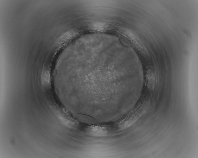 X0000112110500200909011149