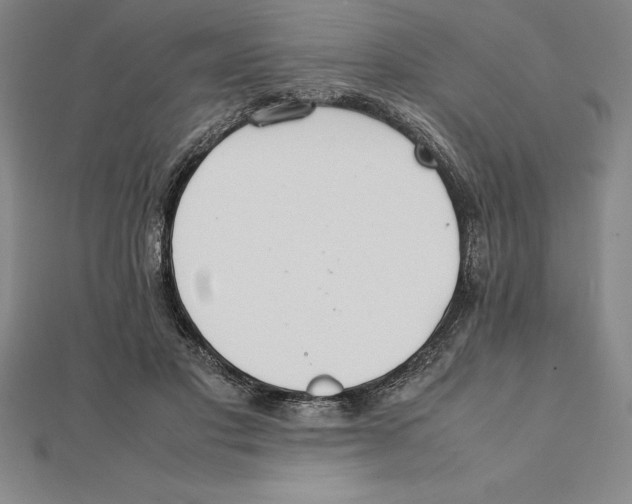 X0000112110501200909011149