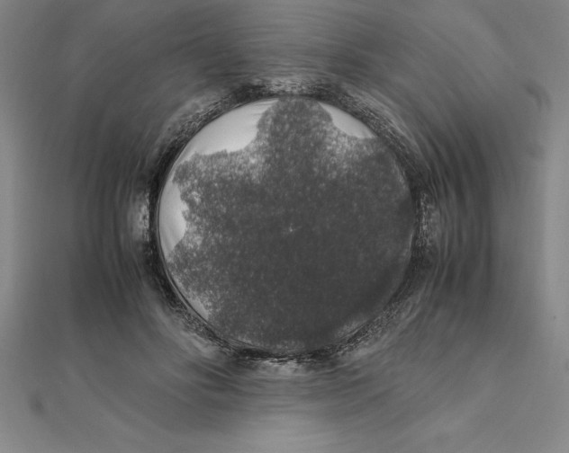X0000112110502200909011149