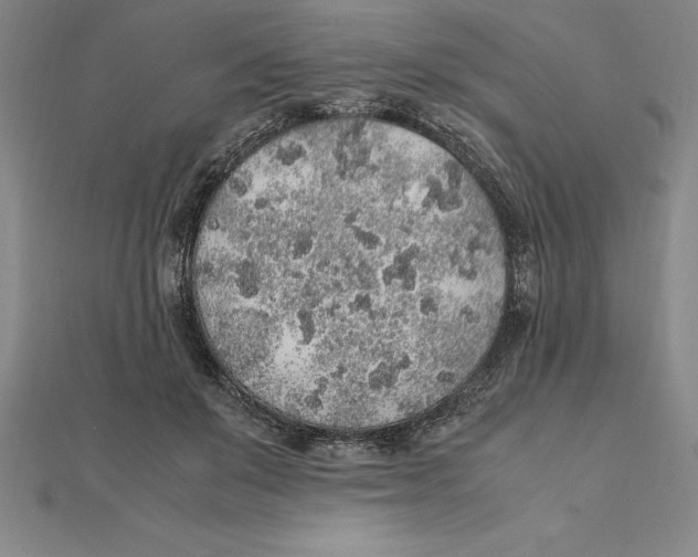 X0000112110503200909011149