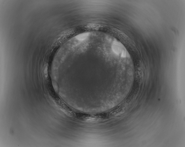 X0000112110504200909011149