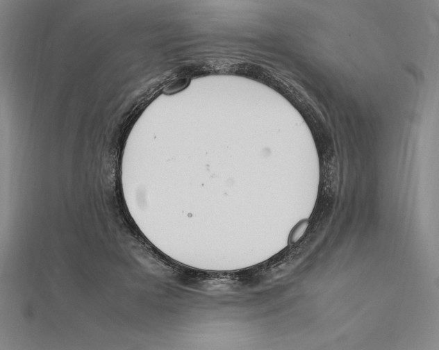 X0000112110505200909011149