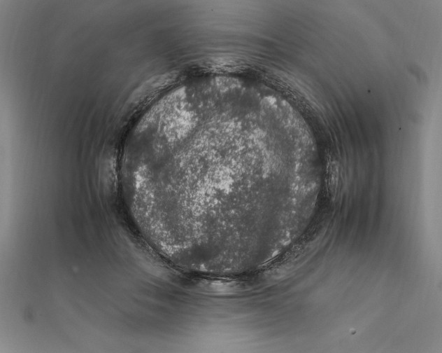 X0000112110506200909011148