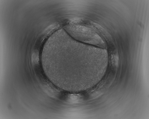 X0000112110508200909011148