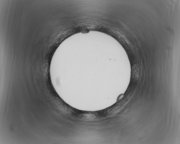 X0000112110509200909011148