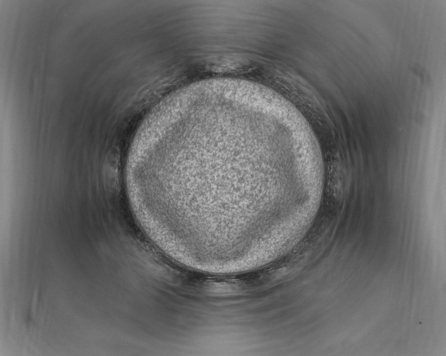 X0000112110510200909011148