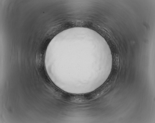 X0000112110511200909011148