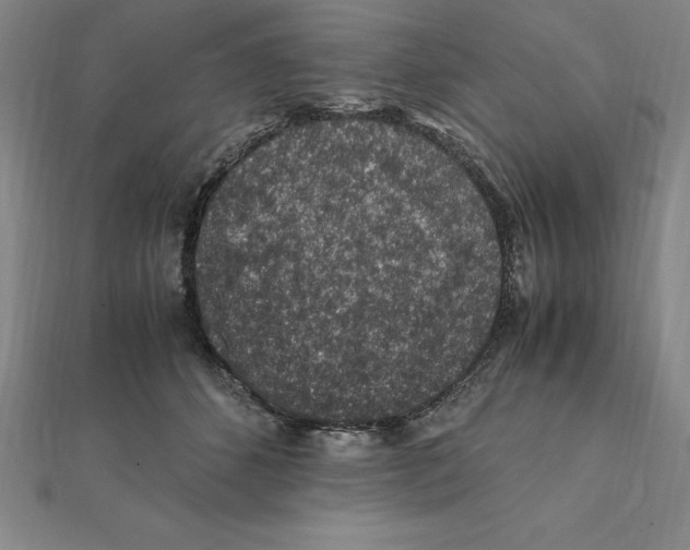 X0000112110512200909011148