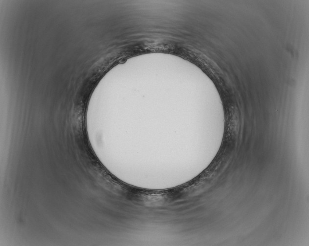 X0000112110513200909011148