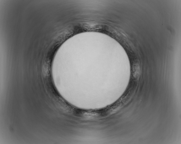 X0000112110515200909011148