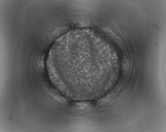 X0000112110516200909011148