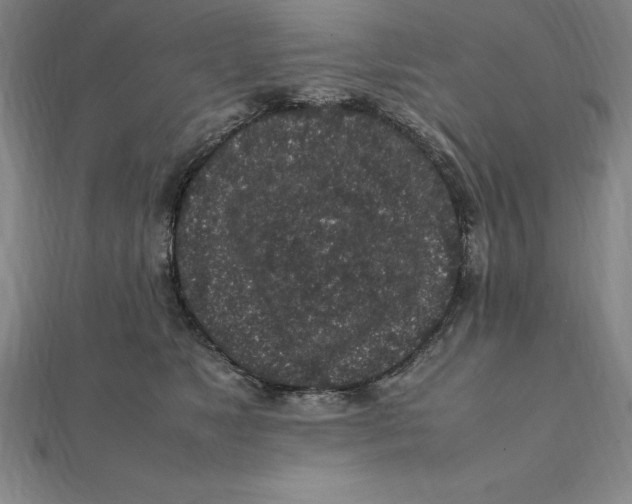 X0000112110517200909011148