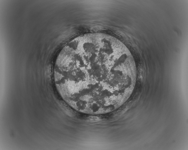 X0000112110519200909011148