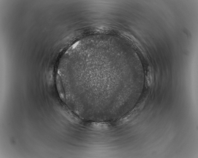 X0000112110520200909011148