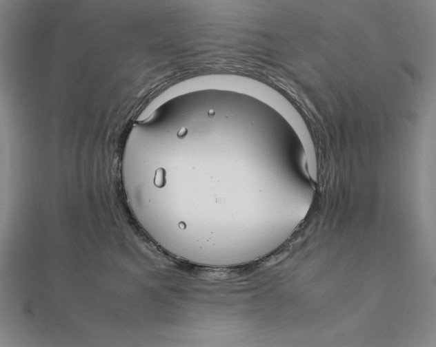 X0000112110521200909011148