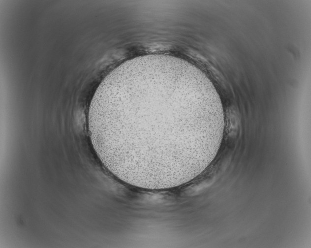 X0000112110523200909011148