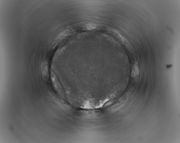 X0000112110524200909011148