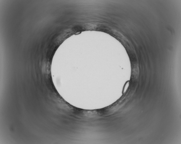 X0000112110525200909011148