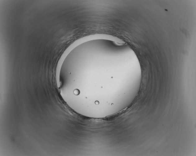 X0000112110528200909011148
