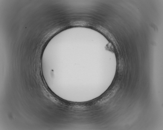 X0000112110529200909011147
