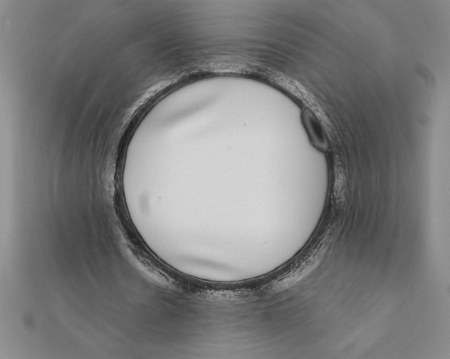 X0000112110530200909011147