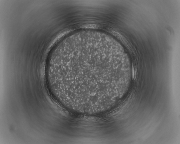 X0000112110531200909011147