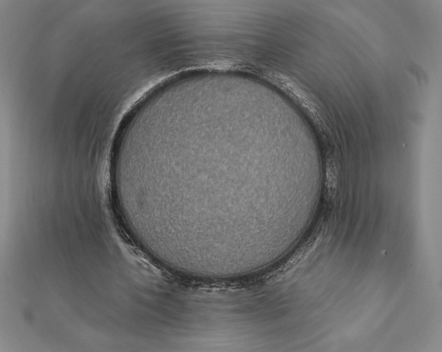 X0000112110532200909011147