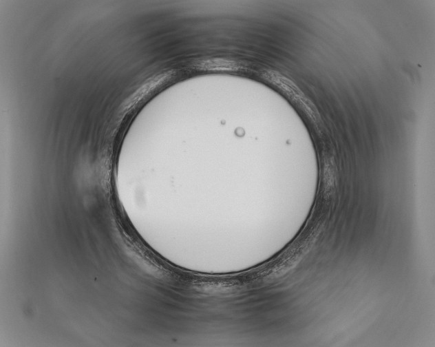 X0000112110533200909011147