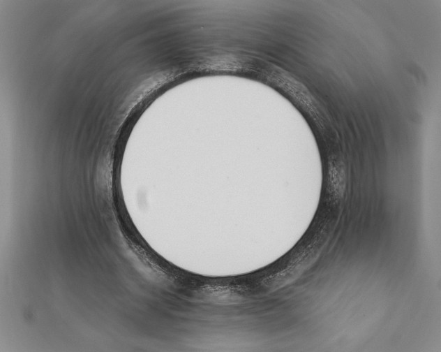 X0000112110534200909011147