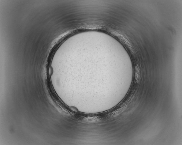 X0000112110536200909011148