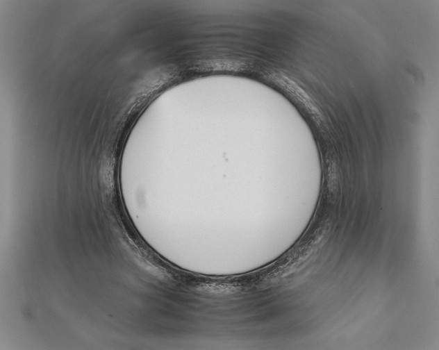 X0000112110537200909011148