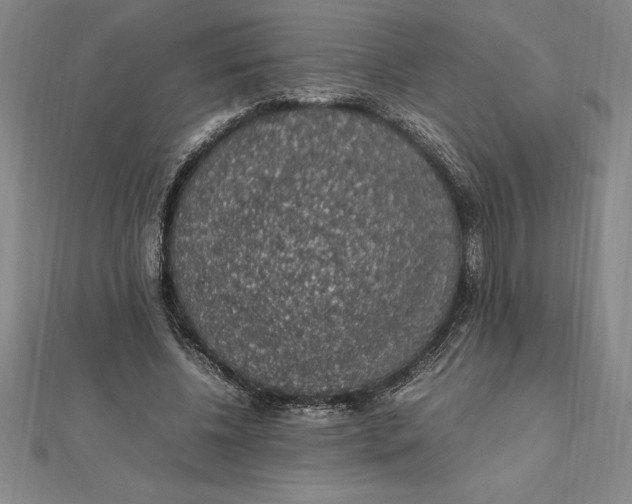 X0000112110540200909011148