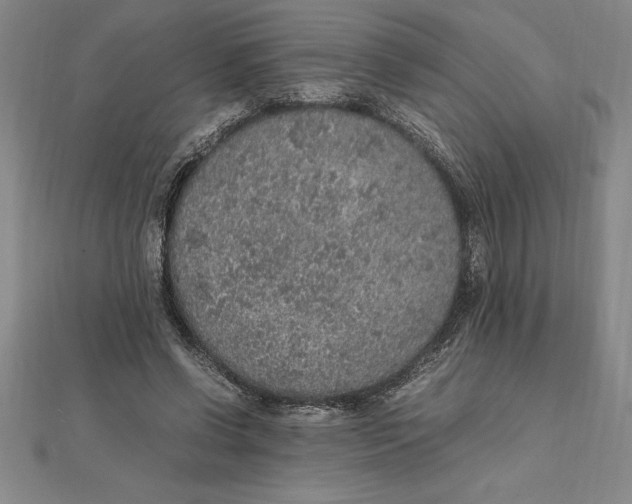 X0000112110542200909011148