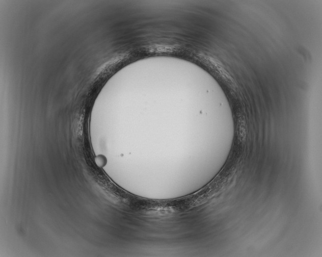 X0000112110543200909011148