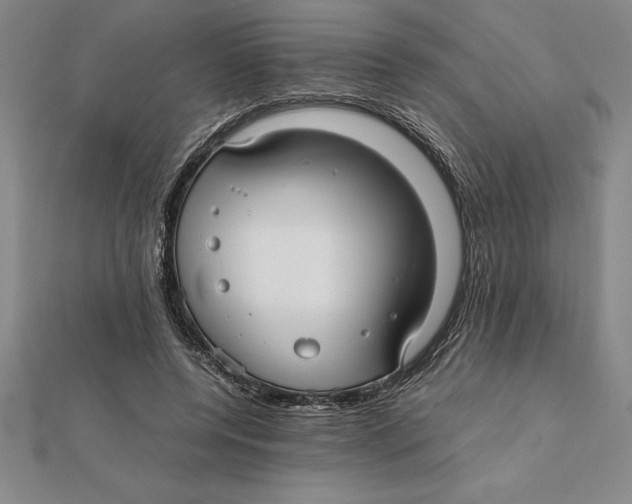 X0000112110544200909011148